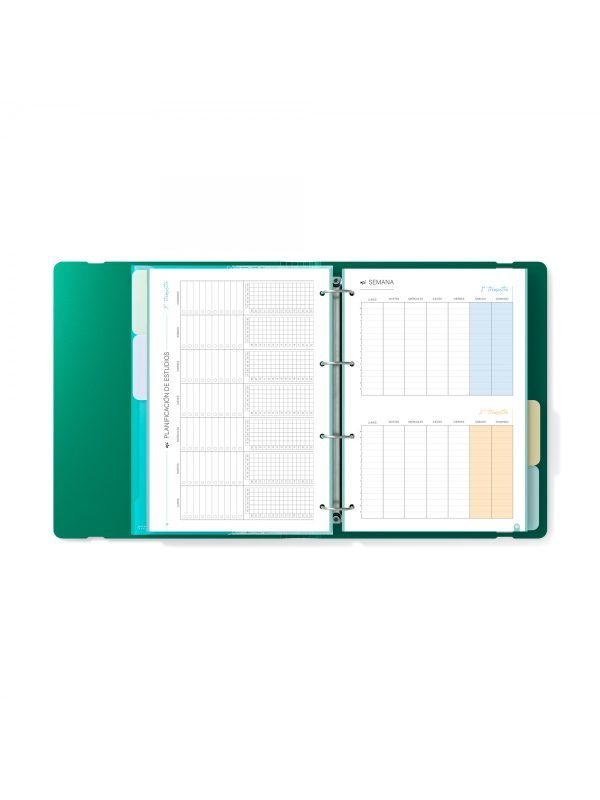 PORTABLOC CARCHIVO POLYFOAM STYLE VERDE - Imagen 2