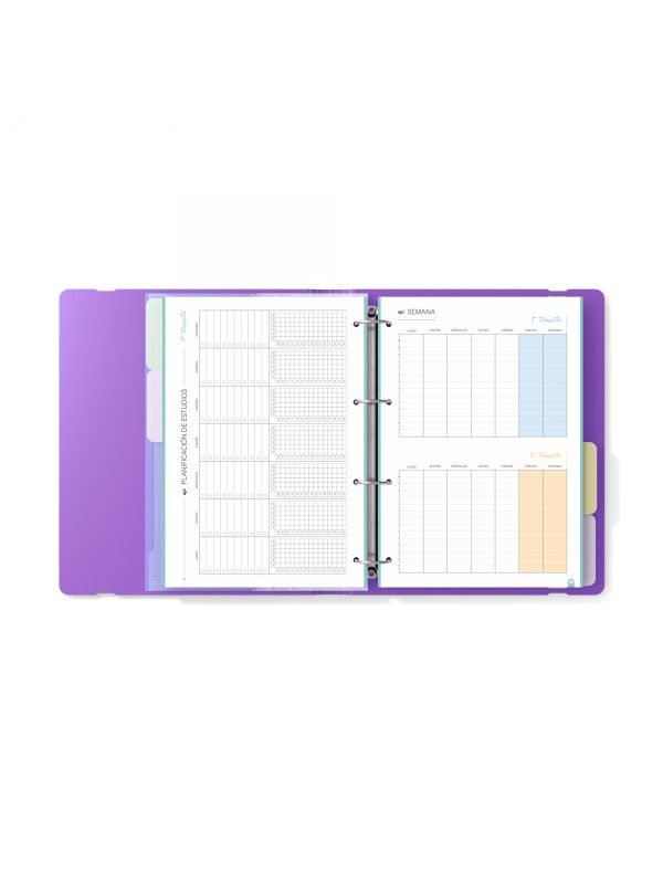 PORTABLOC CARCHIVO POLYFOAM STYLE VIOLETA - Imagen 3