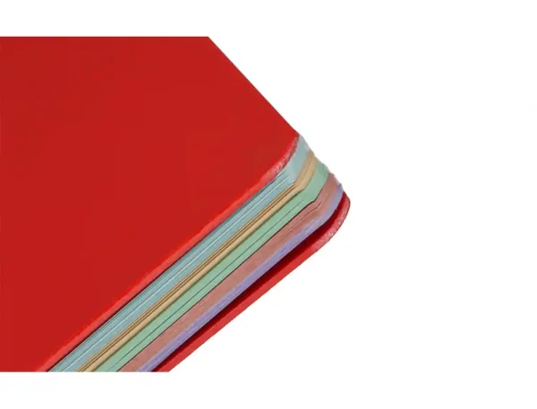 CUADERNO ESPIRAL ANTARTIK A4 CUADROS MICROPERFORADO 120H POLYFOAM COLOR ROJA - Imagen 4