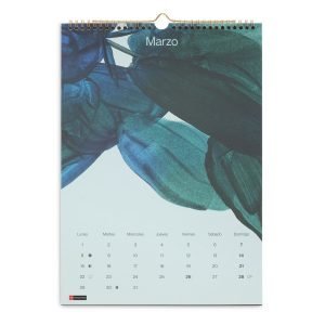CALENDARIO PARED MIQUELRIUS 2027 28X39,7 ACUARELA
