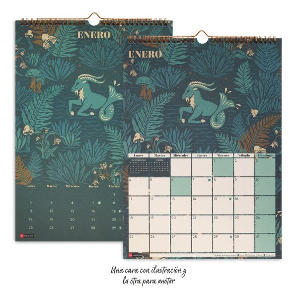 CALENDARIO PARED MIQUELRIUS 2027 28X39,7 ASTRAL - Imagen 6
